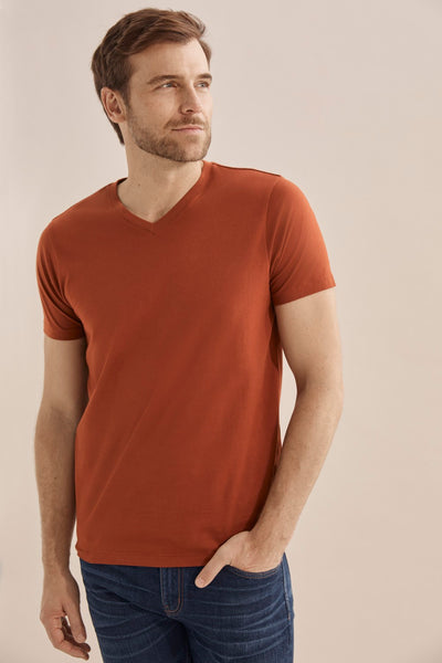 Pima Cotton V-Neck T-Shirt