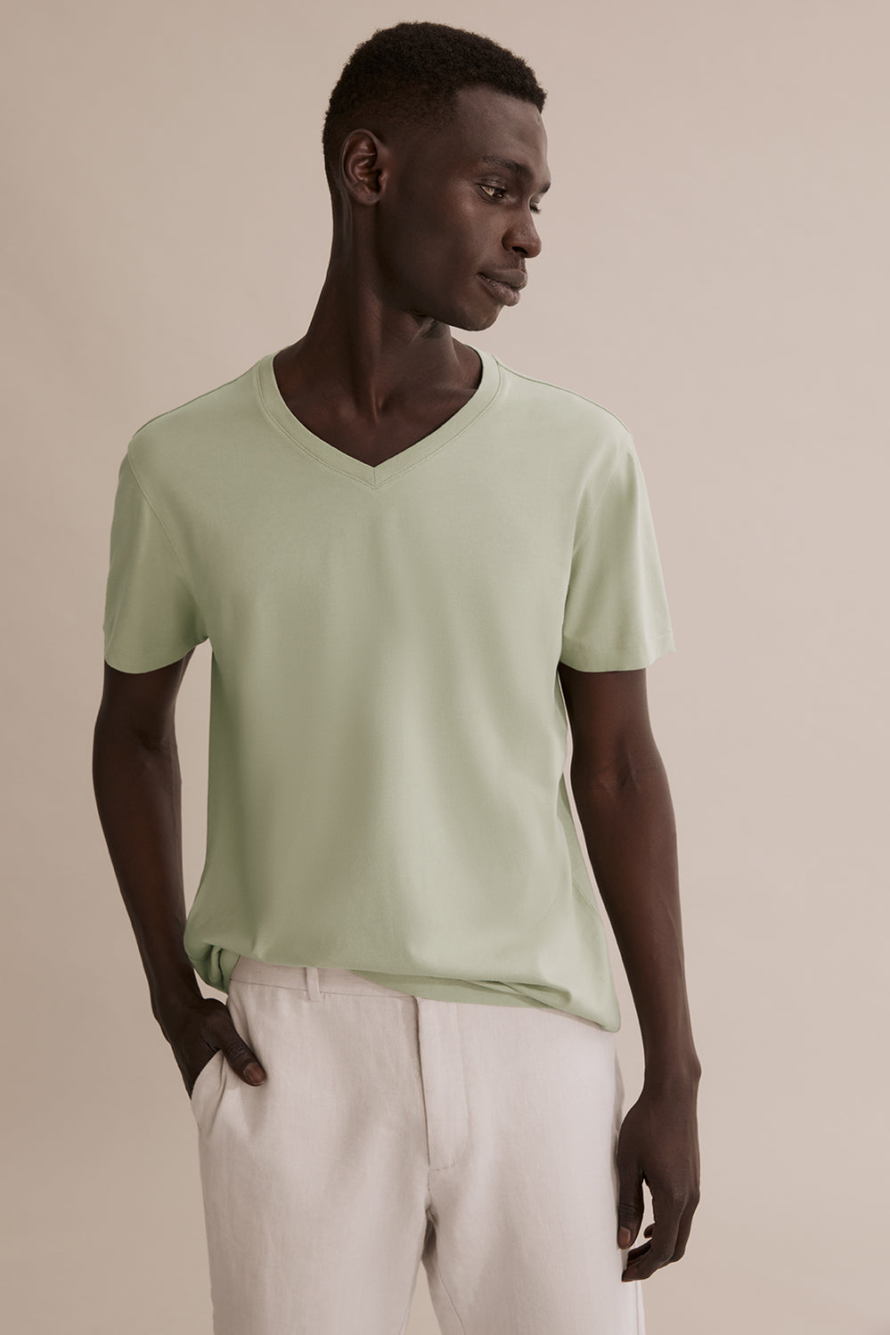 Pima Cotton V-Neck T-Shirt