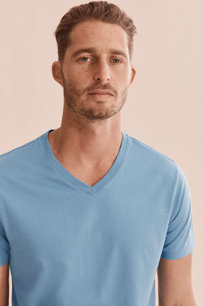 Pima Cotton V-Neck T-Shirt