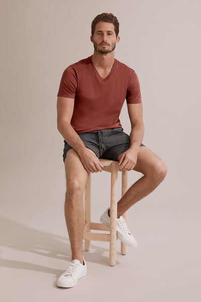 Pima Cotton V-Neck T-Shirt