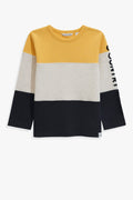 Cotton Block Stripe T-Shirt
