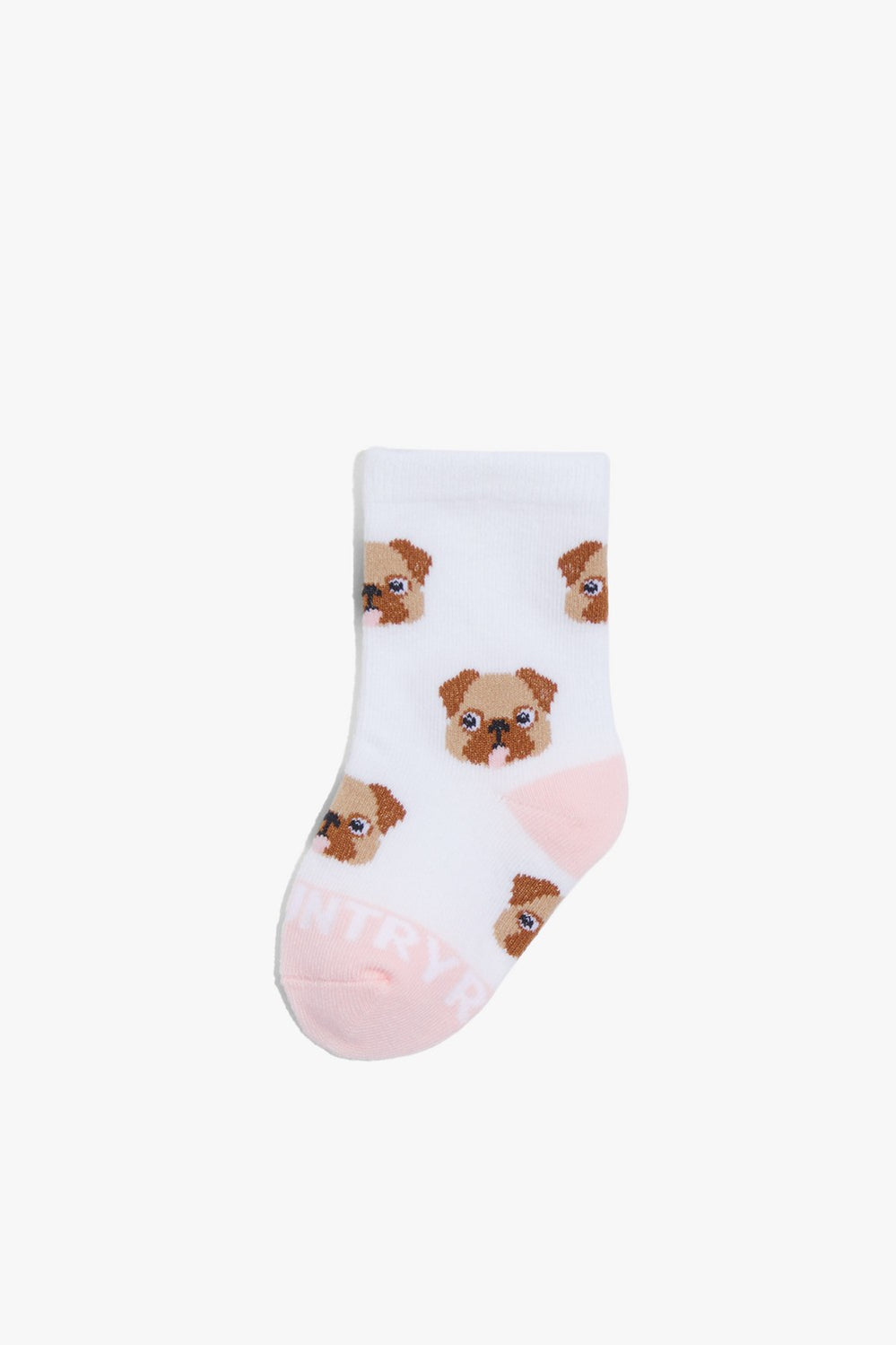 Dog Sock