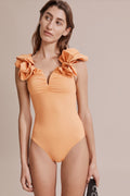 Nylon Puff Sleeve One Piece