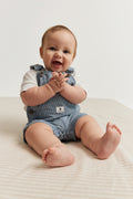 Railroad Overall