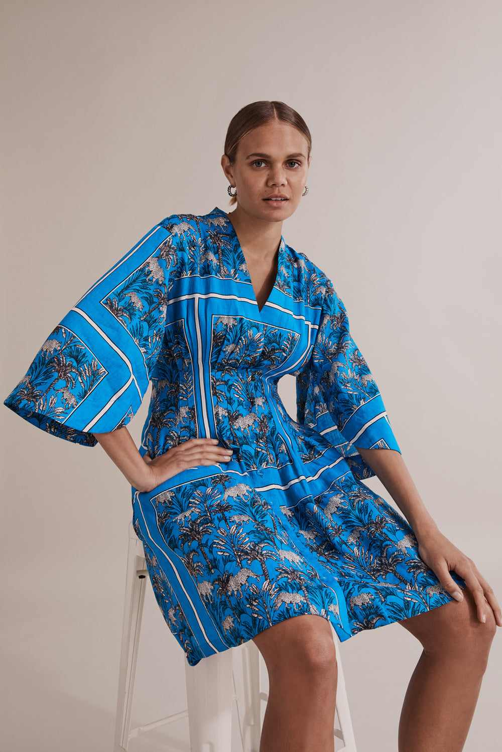 Linen Print Dart Front Dress