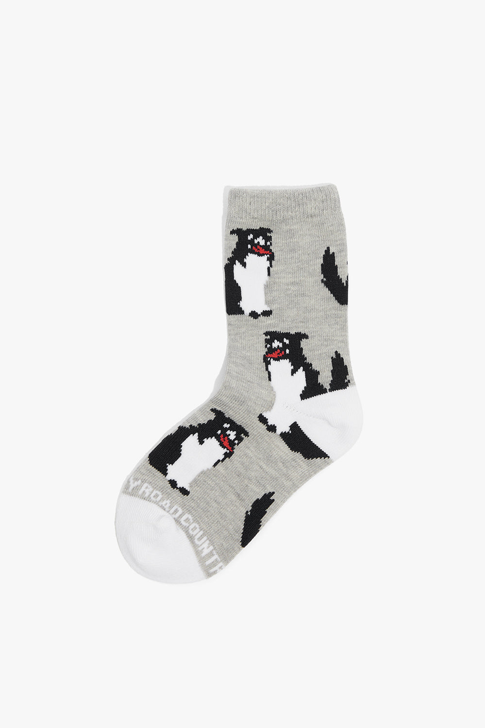 Dog Sock