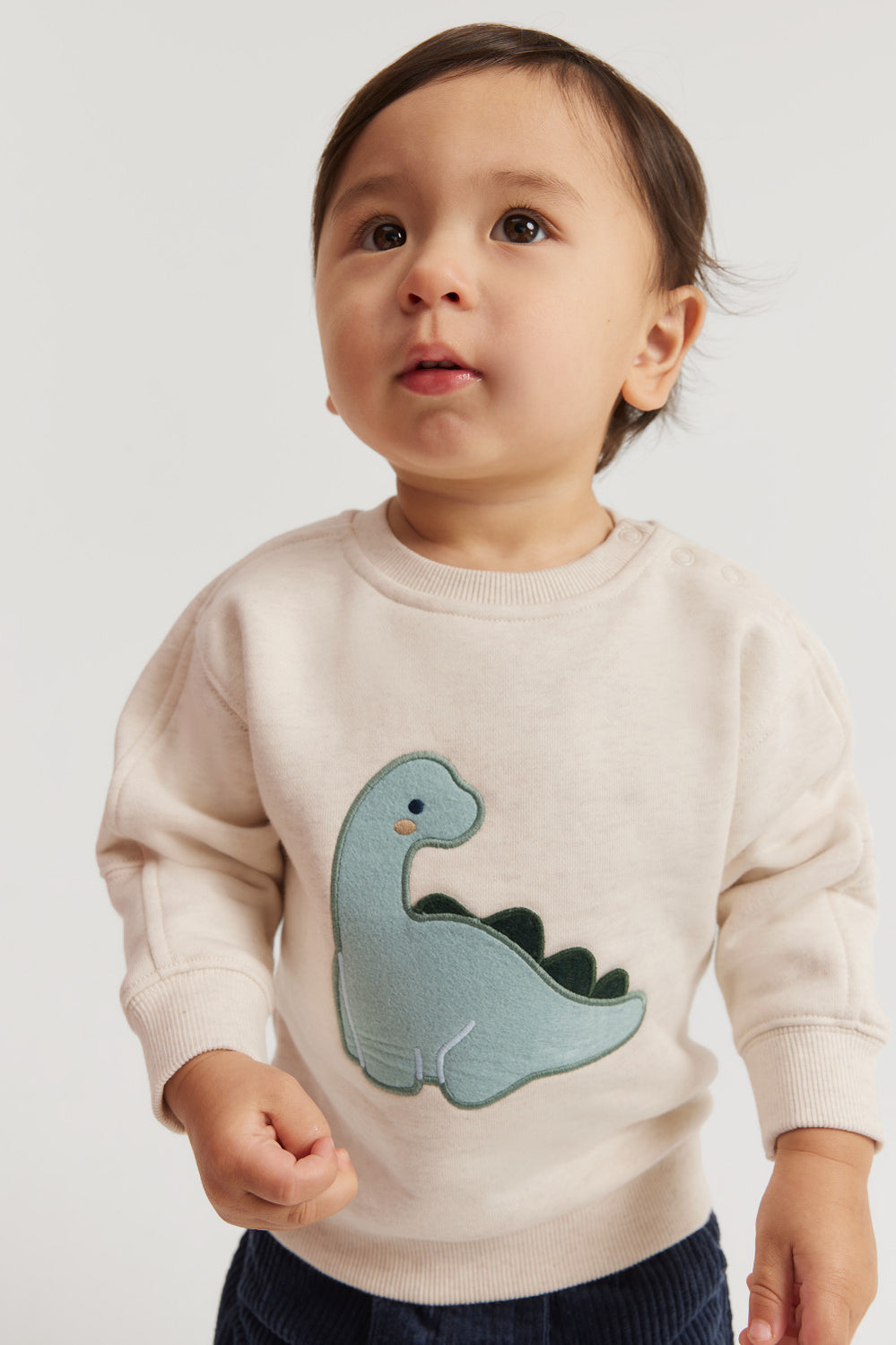 Organically Grown Cotton Dino Sweat