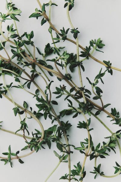 Australian Made Vetiver & Thyme Body Care Duet
