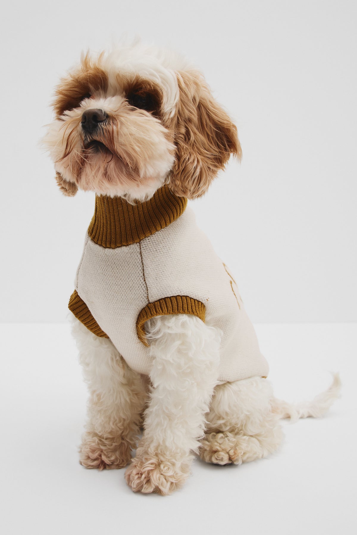 Cr X Hatch + Make Sunny Pet Knit