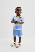 Organically Grown Cotton Stripe Knit Polo