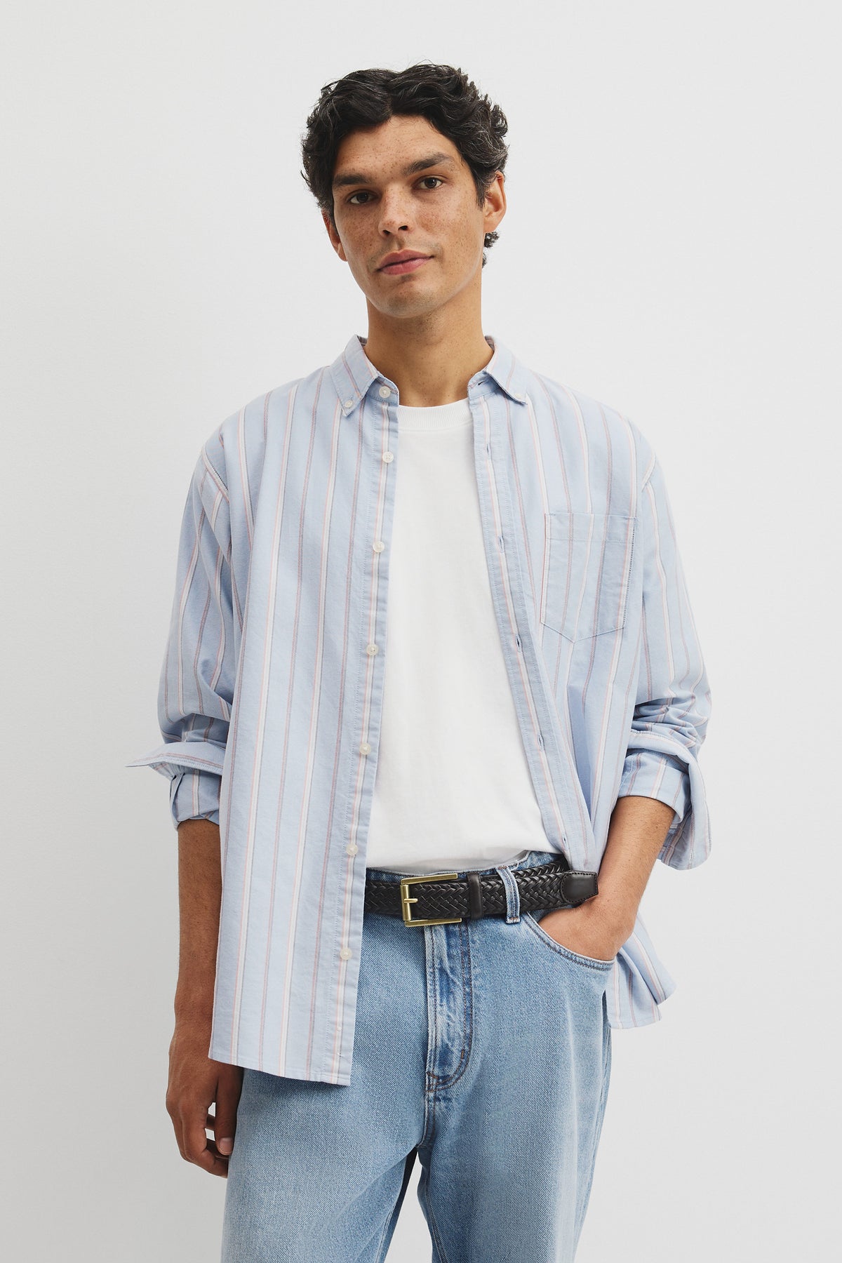 Long Sleeve Regular Fit Australian Good Earth Cotton Stripe Oxford Shirt
