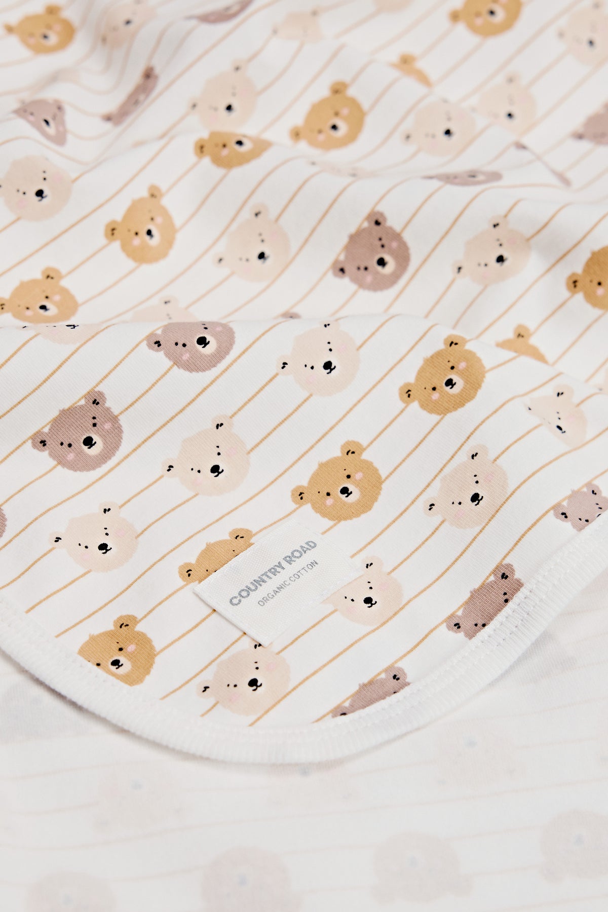 Bear Blanket