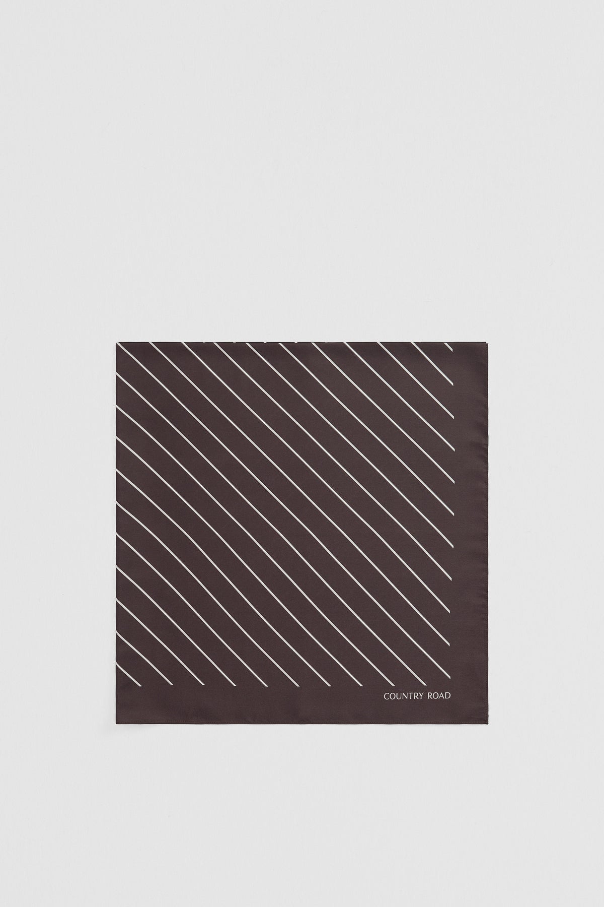 Silk Stripe Scarf