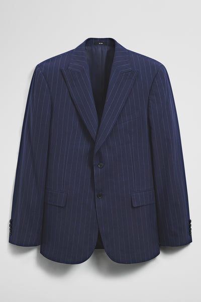 Regular Fit Pinstripe Jacket
