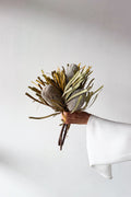 Dried Native Banksia 3 Stems - Natural - image 1